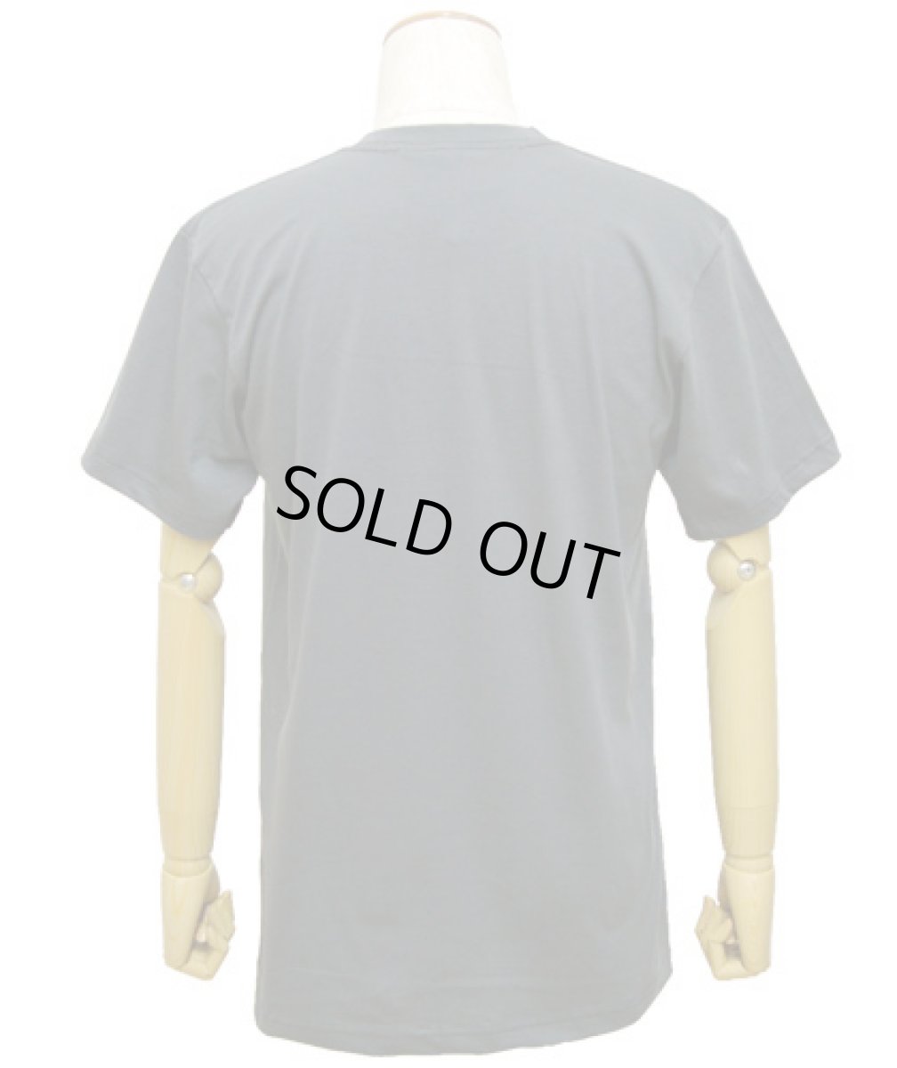 画像3: IMAGINARY FOUNDATIONメンズ半袖Tシャツ「Shape Of Sound / チャコール」 (3)