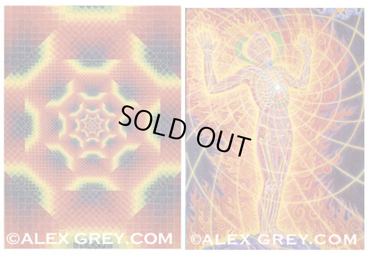 画像3: ALEX GREY ポストカード・10枚セットB (3)