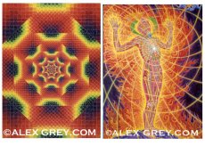 画像3: ALEX GREY ポストカード・10枚セットB (3)