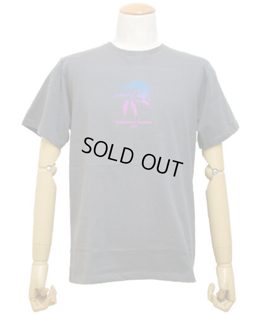 画像3: DISCOVALLEY オフィシャル・メンズTシャツ/グレー (3)