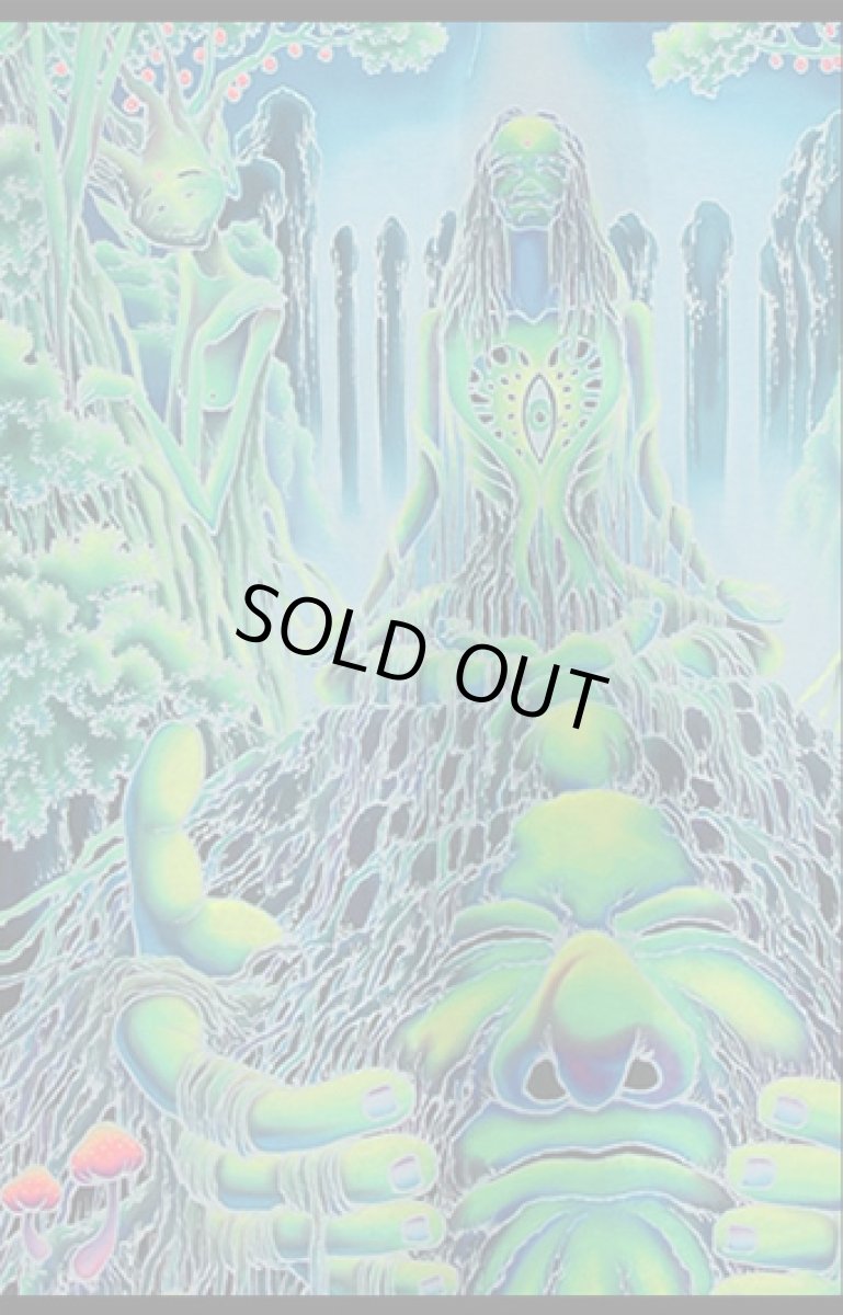 画像3: SPACE TRIBEバティック2.75m×1.2m「Avatar」 (3)