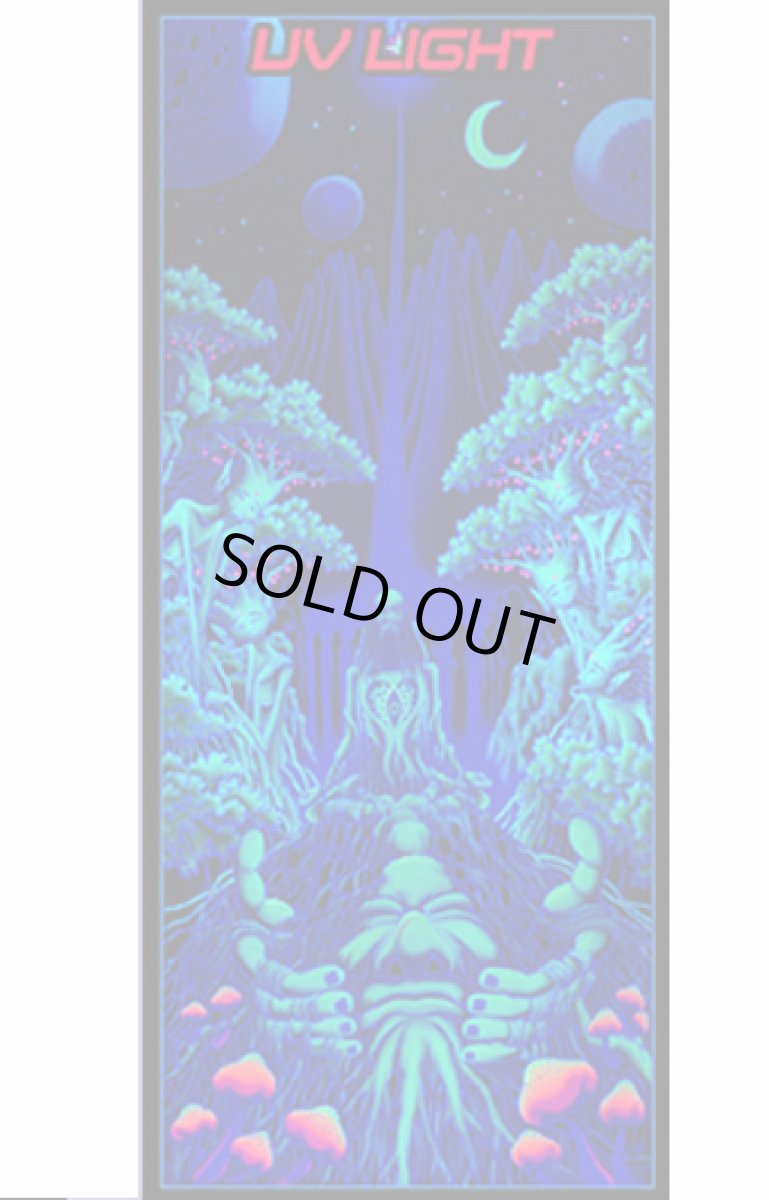 画像2: SPACE TRIBEバティック2.75m×1.2m「Avatar」 (2)