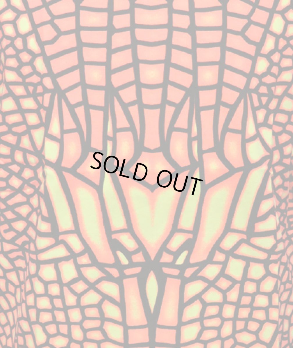 画像3: SPACE TRIBEメンズ・Tシャツ「クラシックサイズ- Fire Dragonfly」 (3)