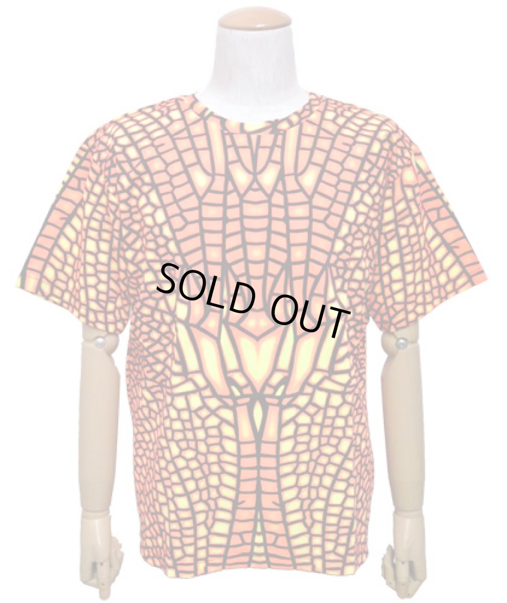 画像2: SPACE TRIBEメンズ・Tシャツ「クラシックサイズ- Fire Dragonfly」 (2)