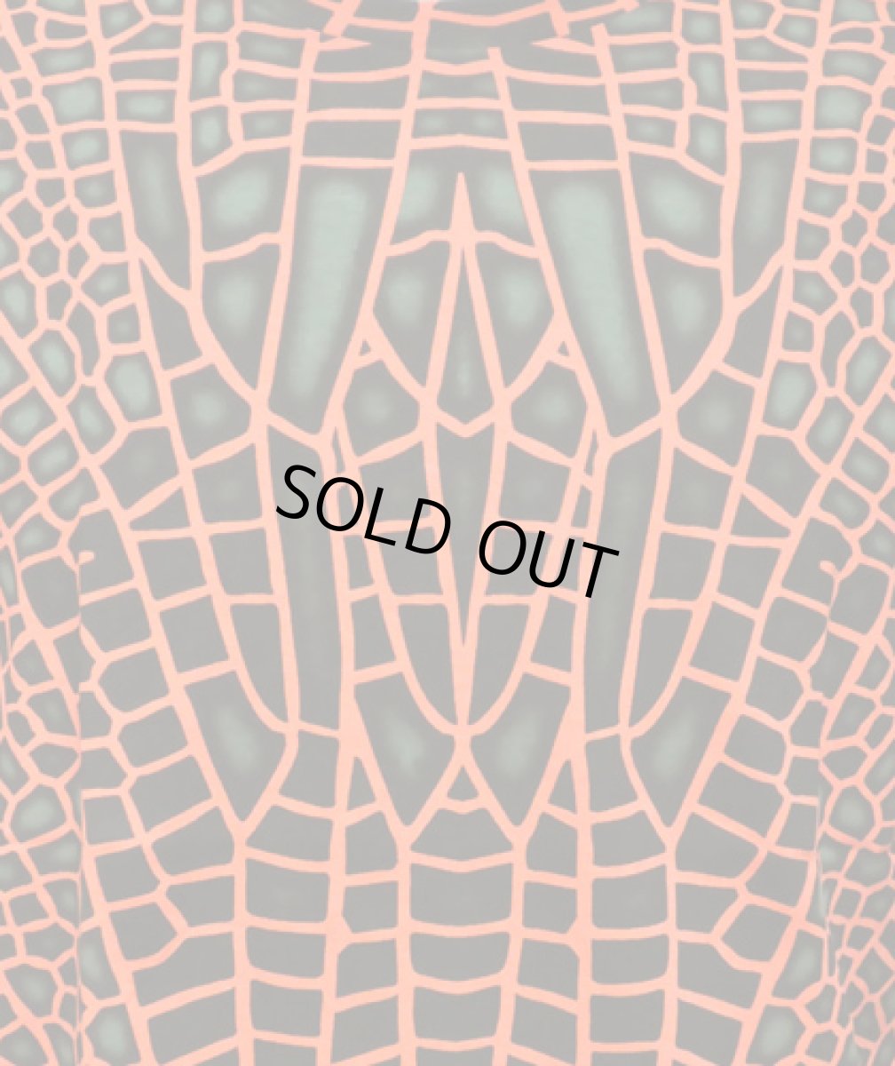 画像3: SPACE TRIBEメンズ・Tシャツ「クラシックサイズ- Dragonfly by Nite」 (3)