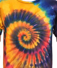 画像2: GRATEFUL TIE-DYE FACTORYメンズ・半袖Tシャツ41 / Mサイズ(細身) (2)