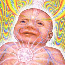 画像2: ALEX GREY ポスター「Newborn」 (2)