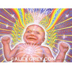 画像1: ALEX GREY ポスター「Newborn」 (1)