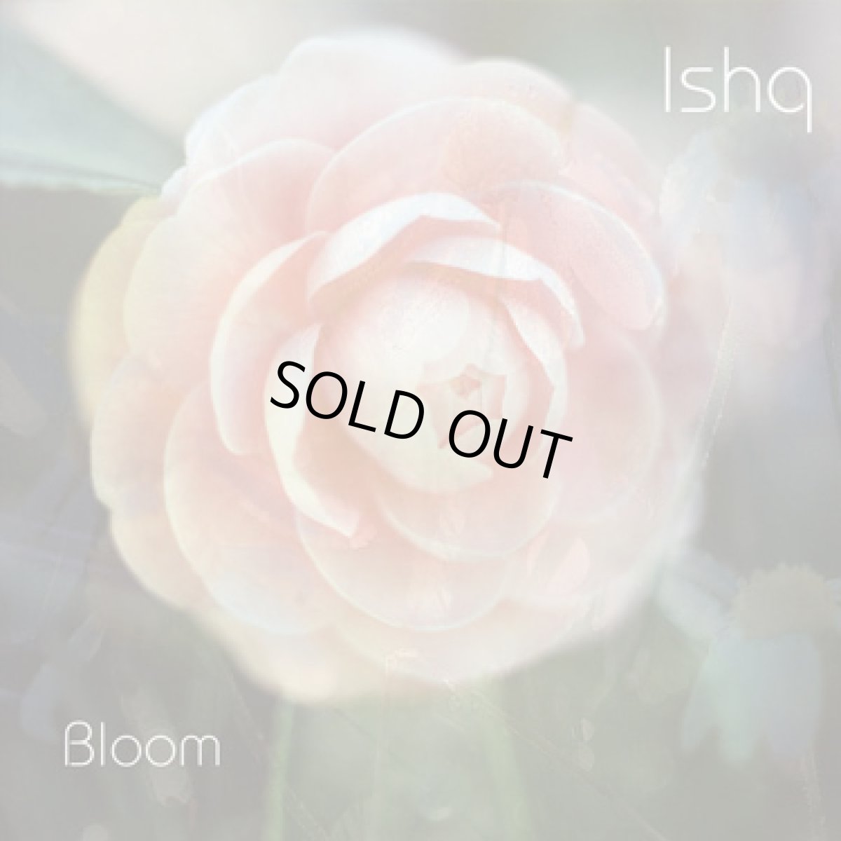 画像1: CD「Ishq / Bloom」【アンビエント・チルアウト】 (1)