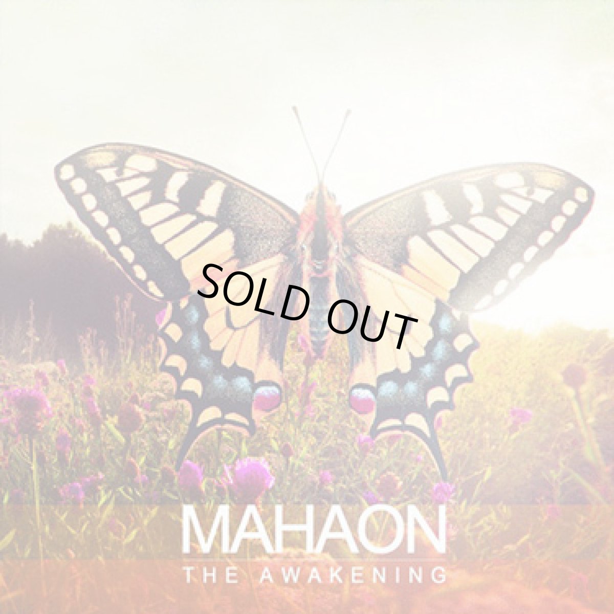 画像1: CD「Mahaon / The Awakening」【エスニックダウンビート・アンビエント】 (1)