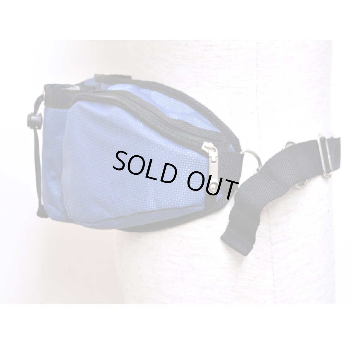 画像2: PSYCLON 2ポケット・ウエストバッグ / ブルー (2)