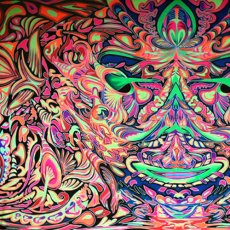 画像3: SPACE TRIBEバティック3.6m×2m「Shroom Head」 (3)