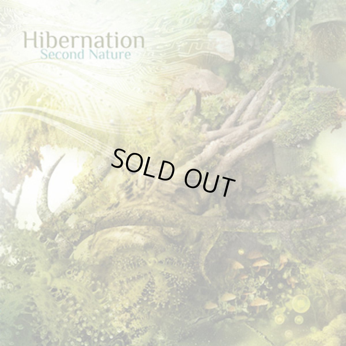 画像1: CD「HIBERNATION / Second Nature」【アンビエントDUB・エレクトロニカ・チルアウト】 (1)