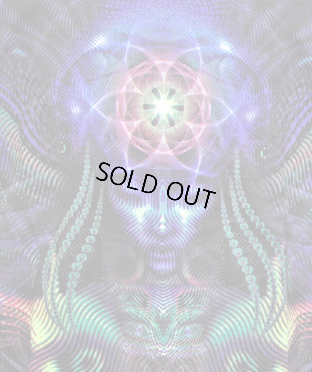 画像5: SPACE TRIBEメンズ・長袖カットソー「Foxy Lady」 (5)