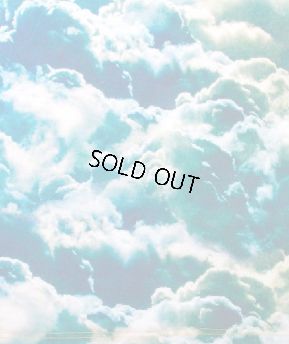 画像5: IMAGINARY FOUNDATION メンズ・サブリメイションTシャツ「SUNBATHING」 (5)