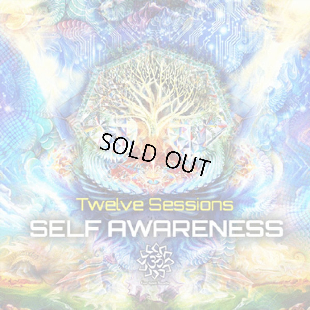 画像1: CD「TWELVE SESSIONS / Self Awareness」【PSYトランス（シリアス・ミドル系）】 (1)