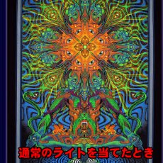 画像2: SPACE TRIBE タペストリー「PolyMorph」（ポール付き） (2)