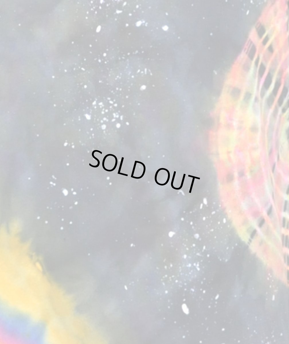 画像4: VENOM INSECT メンズ・半袖Tシャツ / Mサイズ (4)