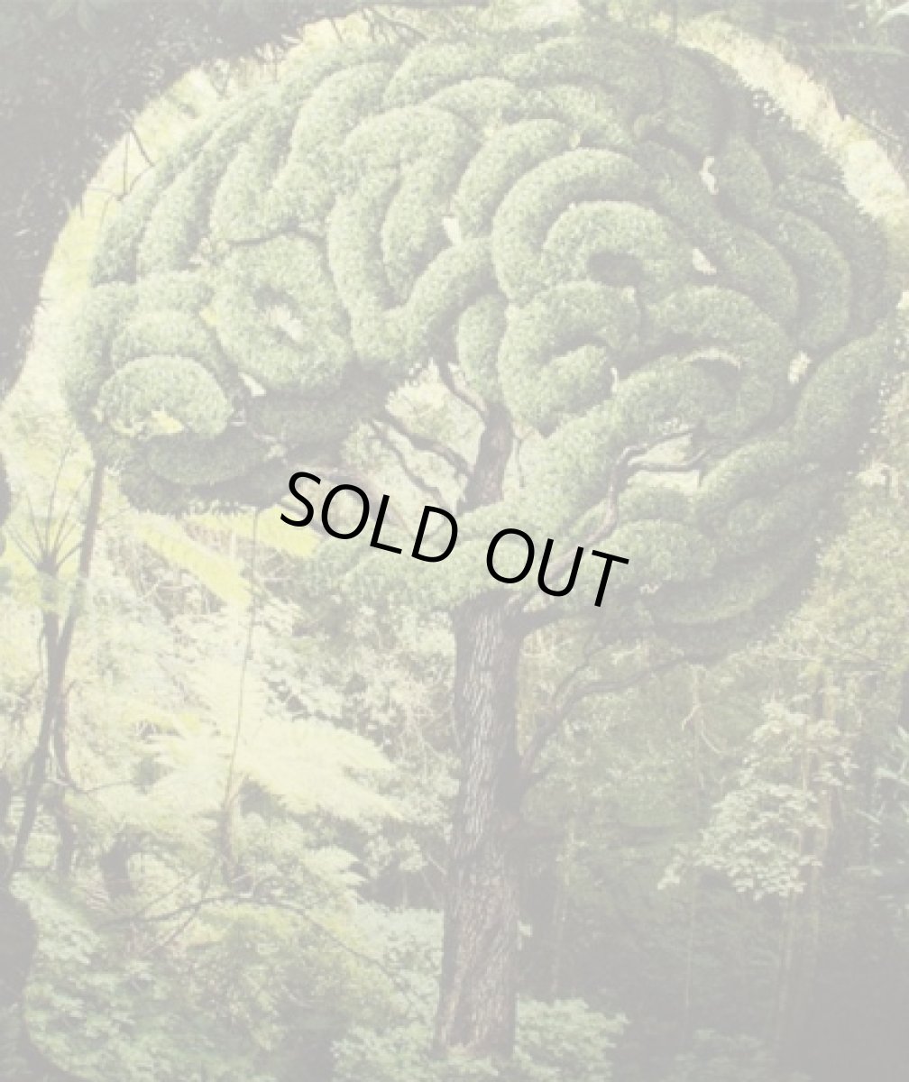 画像3: IMAGINARY FOUNDATIONメンズ半袖Tシャツ「BRAINFOREST / オリーブ」 (3)