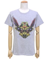 画像1: PLAZMA メンズTシャツ「Animalia / メランジ」 (1)