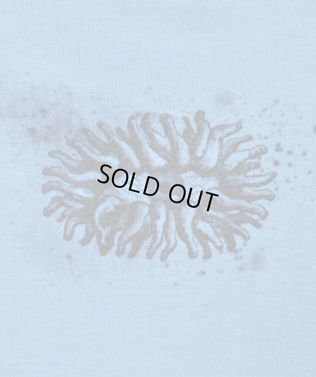 画像4: PLAZMA メンズTシャツ「Mineral / アイスブルー」 (4)