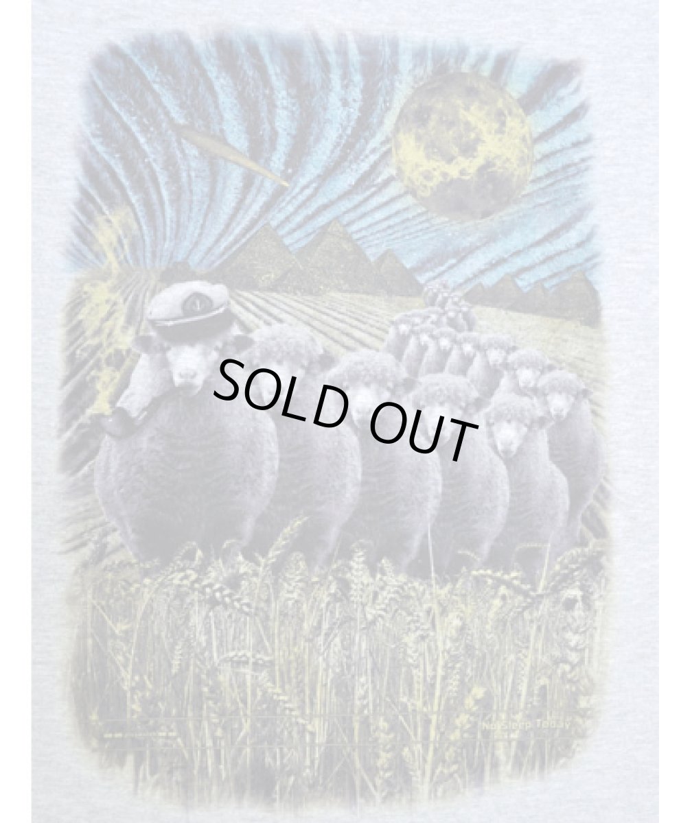 画像2: PLAZMA メンズTシャツ「Sheep Ship / メランジ」 (2)