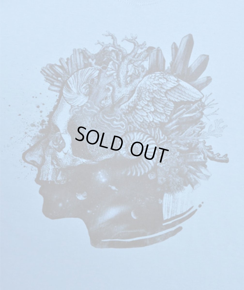 画像2: PLAZMA メンズTシャツ「Mineral / アイスブルー」 (2)