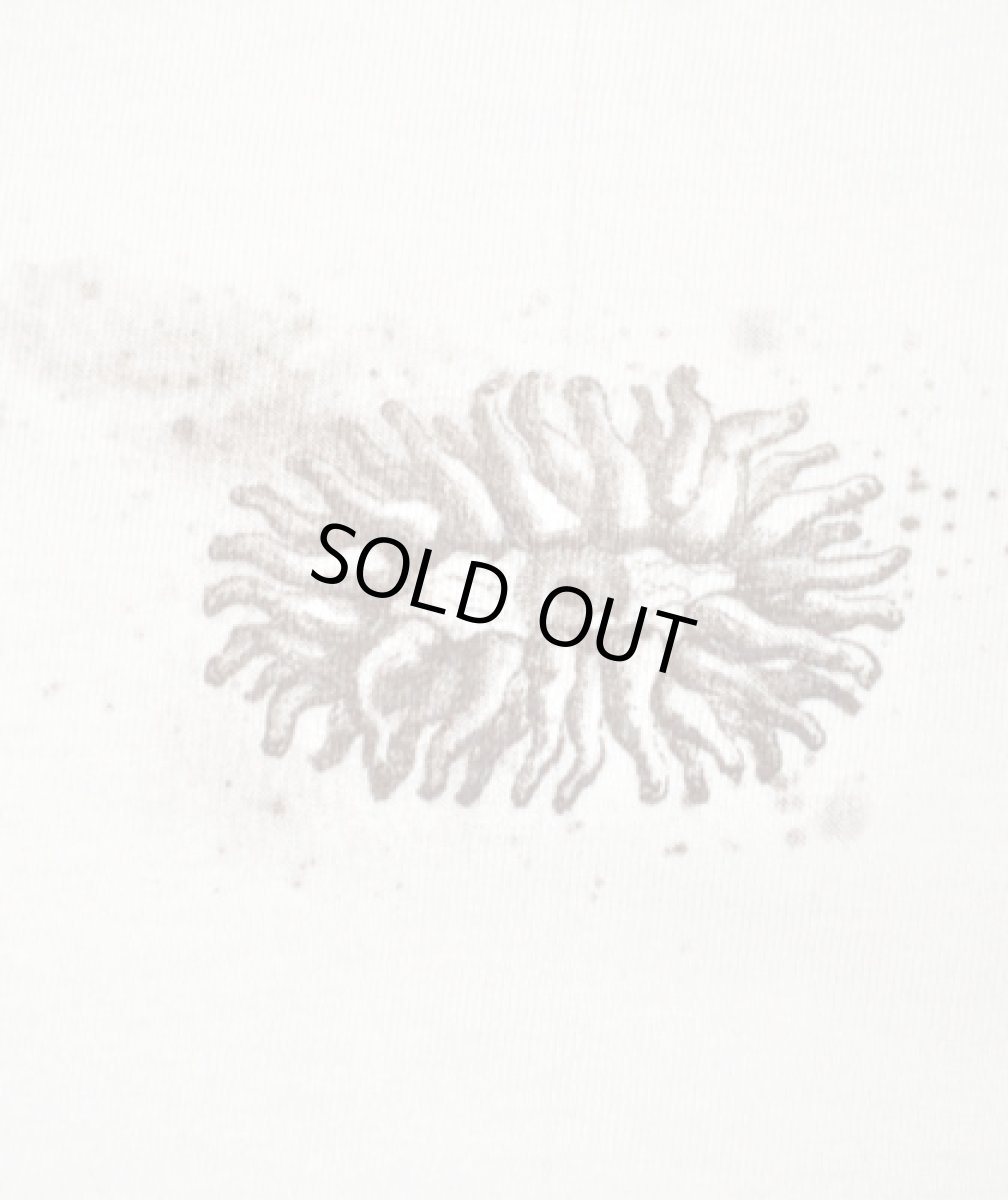 画像4: PLAZMA メンズTシャツ「Mineral / ダーティー」 (4)