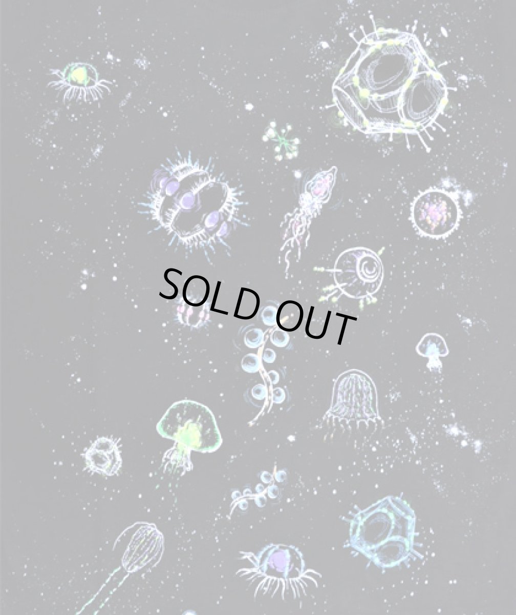 画像3: PLAZMA メンズTシャツ「Under & Above / ブラック」 (3)