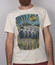 画像1: PLAZMA メンズTシャツ「Sheep Ship / ダーティー」 (1)