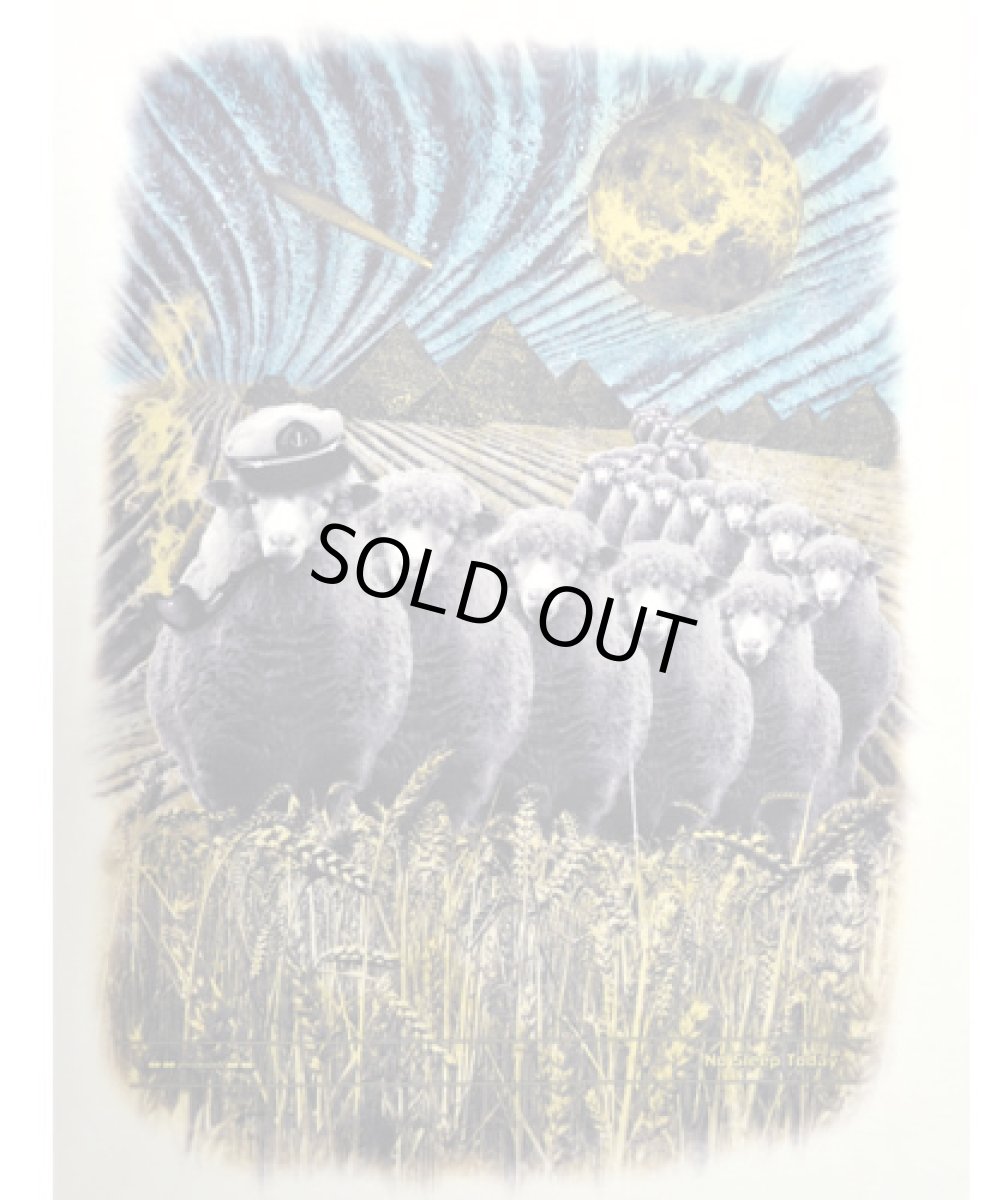 画像3: PLAZMA メンズTシャツ「Sheep Ship / ダーティー」 (3)