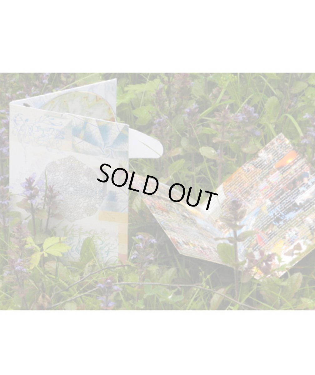 画像2: CD「AAVEPYORA / Katso kukkaa」2枚組【スオミトランス】 (2)