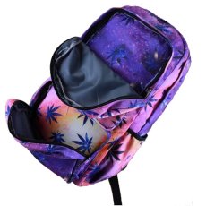 画像5: GALAXY BAGS（ギャラクシーバッグ）ラージサイズ ／リーフ＆グラデーション (5)