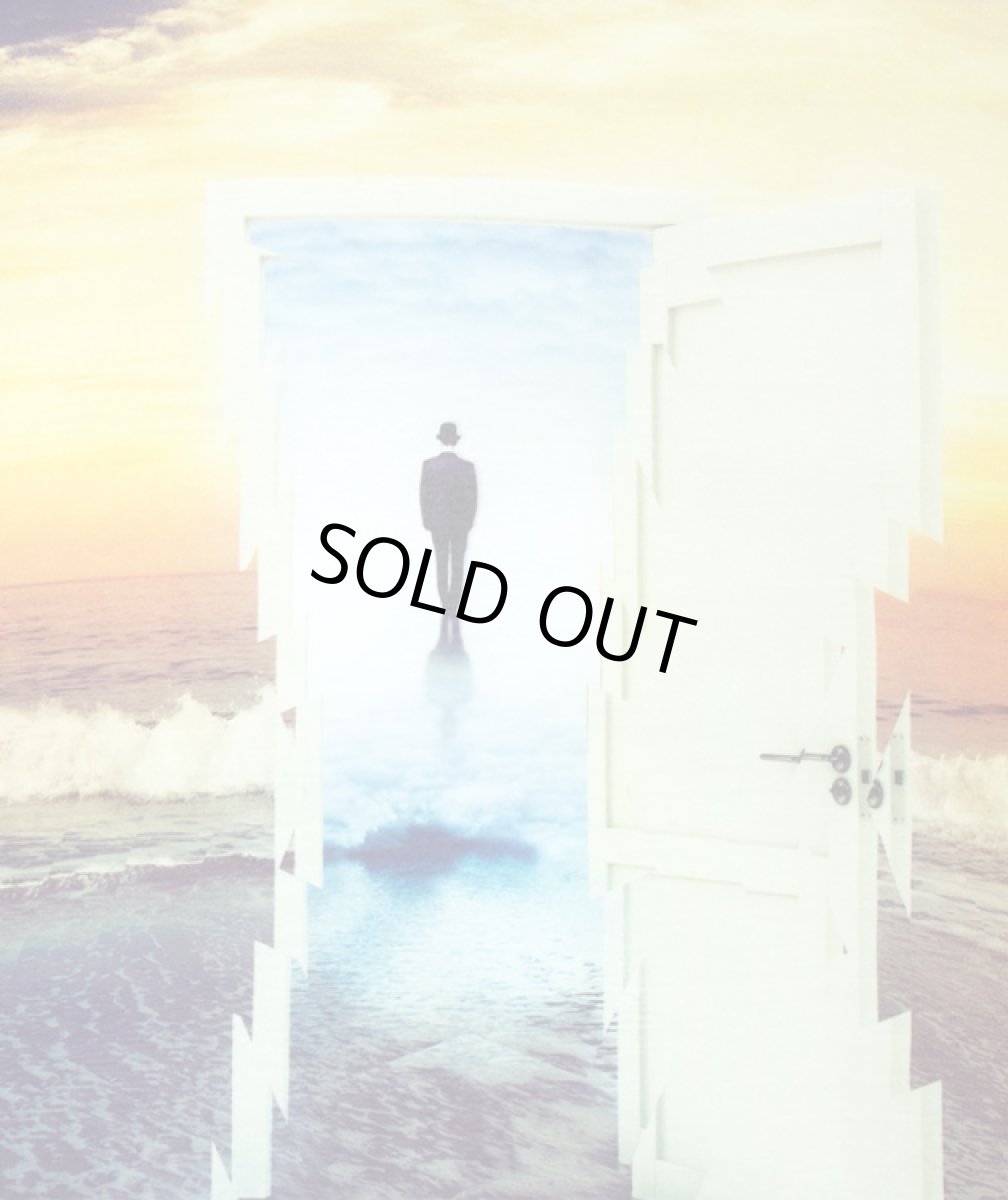 画像5: IMAGINARY FOUNDATION メンズ・サブリメイションTシャツ「The Transition」 (5)