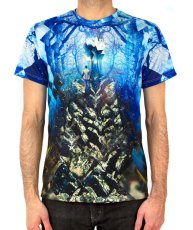 画像1: IMAGINARY FOUNDATION メンズ・サブリメイションTシャツ「Discovery」 (1)