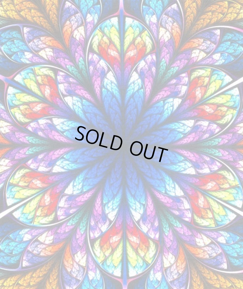 画像5: IMAGINARY FOUNDATION メンズ・パネルTシャツ「DM T-Shirt」 (5)