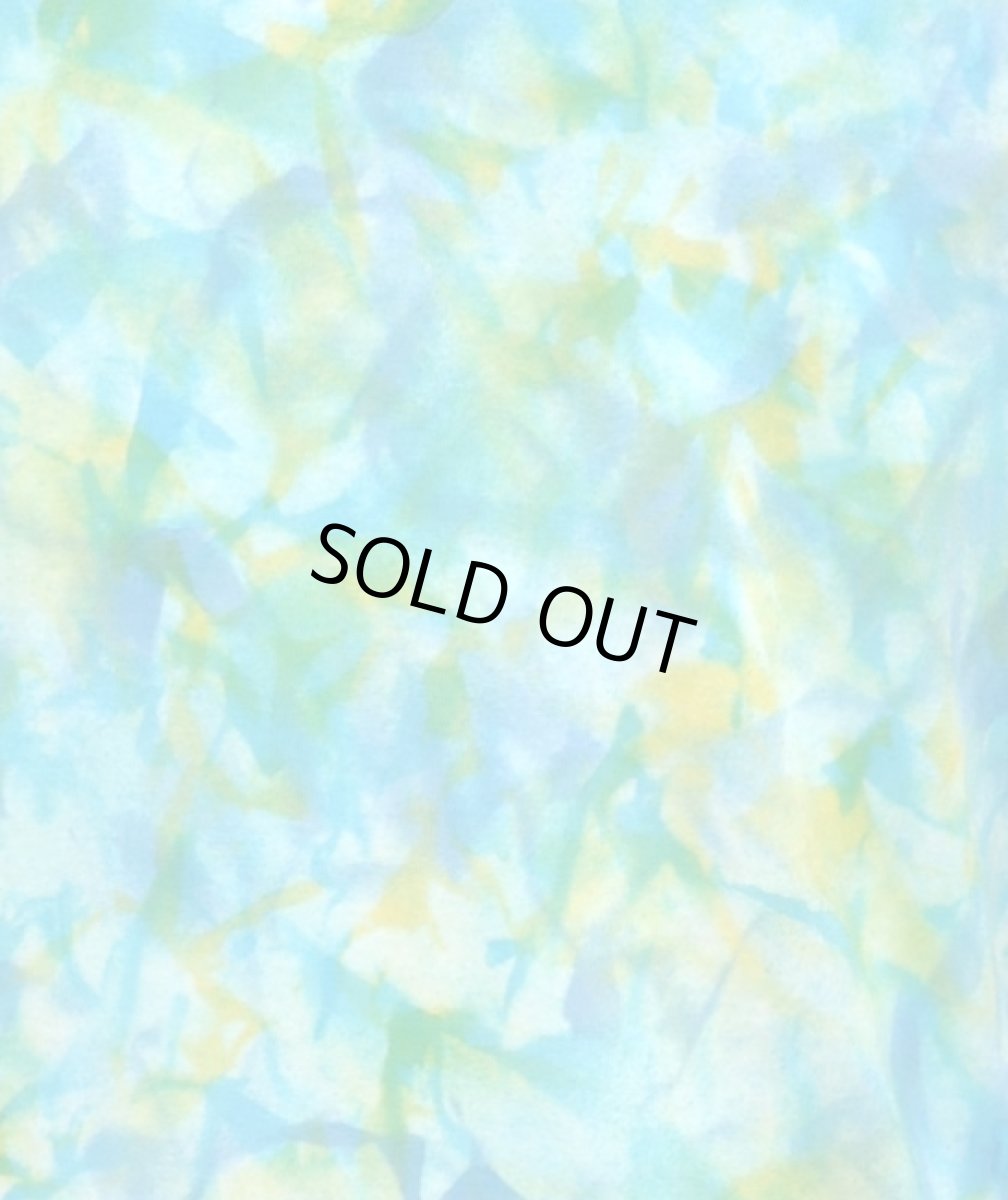 画像3: VENOM INSECT メンズ・タンクトップ / Lサイズ (3)