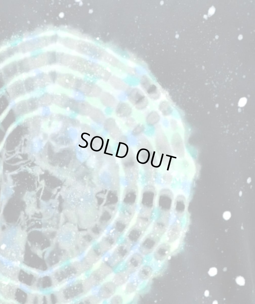 画像2: VENOM INSECT メンズ・タンクトップ / Mサイズ (2)