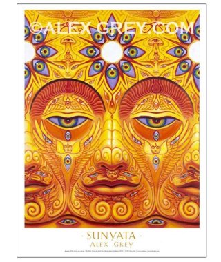 【絶版】アレックスグレイ画集　2冊 ALEX GREY NET of BEING 画集 アレックスグレイ - メルカリ
