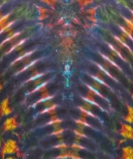 画像2: GRATEFUL TIE-DYE FACTORYメンズ・半袖Tシャツ / Mサイズ (2)