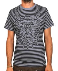 画像1: PLAZMA メンズTシャツ「Stripes & Stripes / メランジ」 (1)