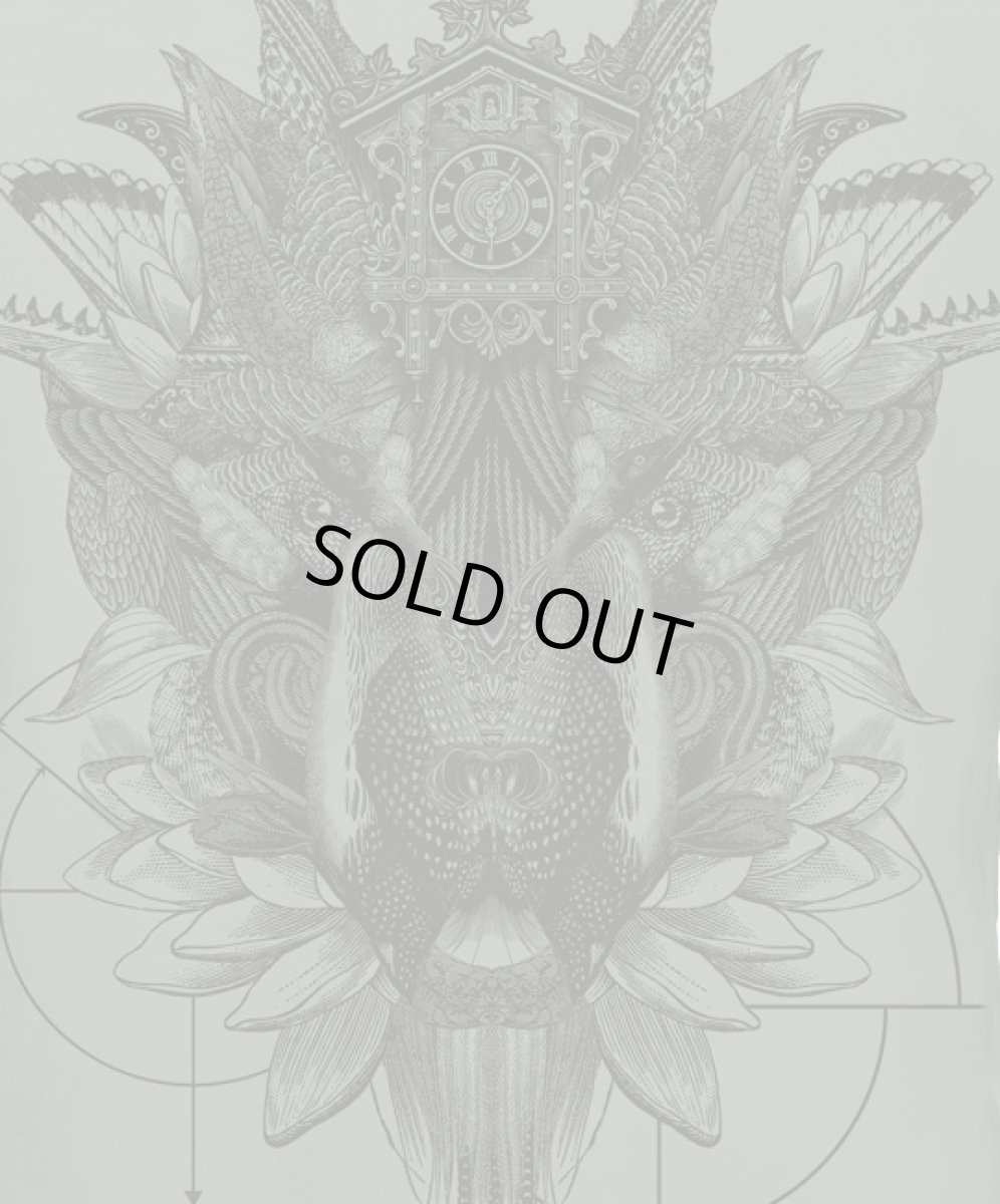 画像3: PLAZMA メンズTシャツ「Featherface / グリーン」 (3)