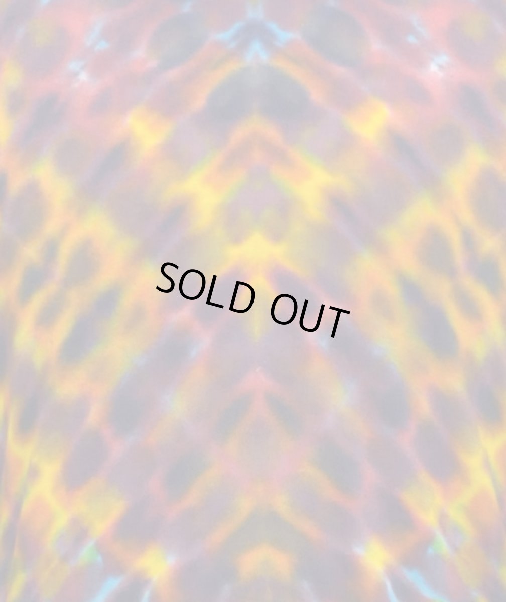 画像2: GRATEFUL TIE-DYE FACTORYメンズ・半袖Tシャツ / Lサイズ (2)