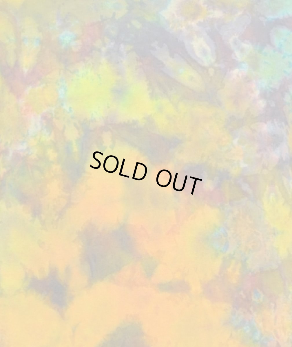 画像2: GRATEFUL TIE-DYE FACTORYメンズ・半袖Tシャツ / Lサイズ (2)