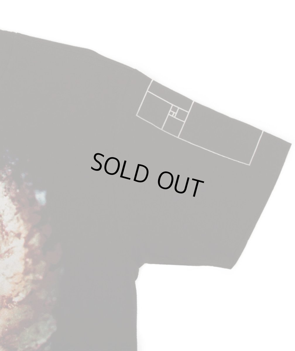 画像3: IMAGINARY FOUNDATION メンズ・Tシャツ「Golden Architecture」 (3)