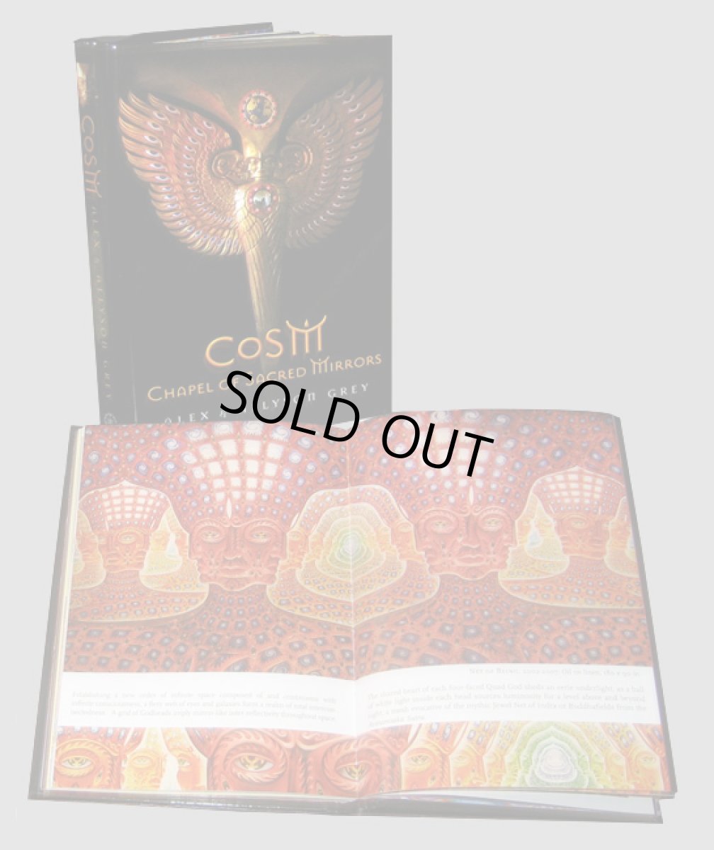 画像2: ALEX GREY & ALLYSON GREY「CoSM -  Chapel Of Sacred Mirrors」 (2)