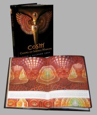 画像2: ALEX GREY & ALLYSON GREY「CoSM -  Chapel Of Sacred Mirrors」 (2)