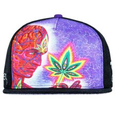 画像2: ALEX GREY 帽子「Cannabis Sutra」 (2)