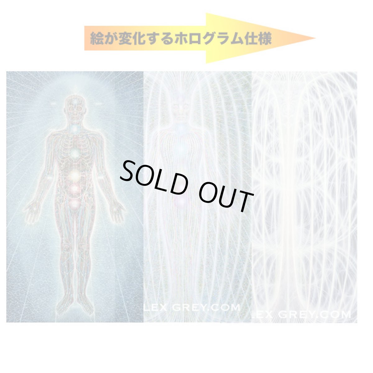 画像4: ALEX GREY ホログラムカード「Sacred Mirrors」 (4)