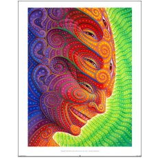 画像1: ALEX GREY ポスター「Shpongled」 (1)